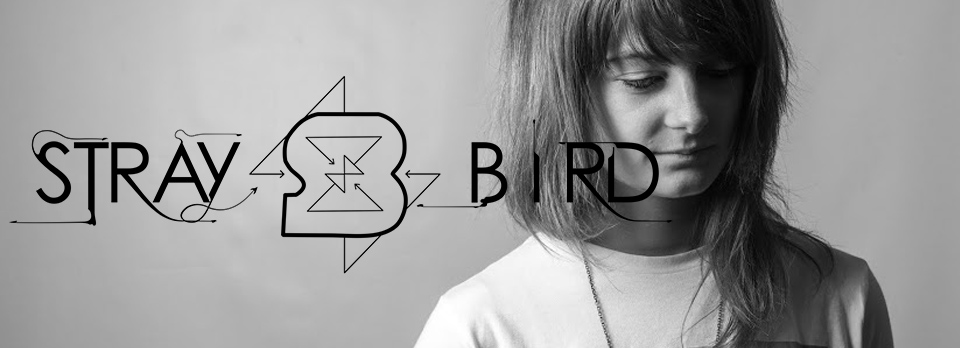banner_straybird